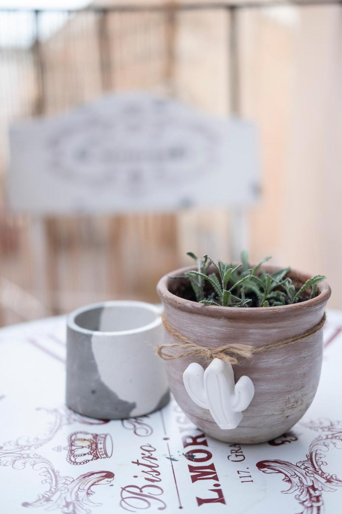 Costa Bed And Breakfast Pollutri Εξωτερικό φωτογραφία